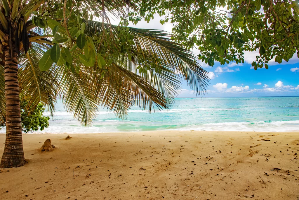 Insula Guadalupe Franța