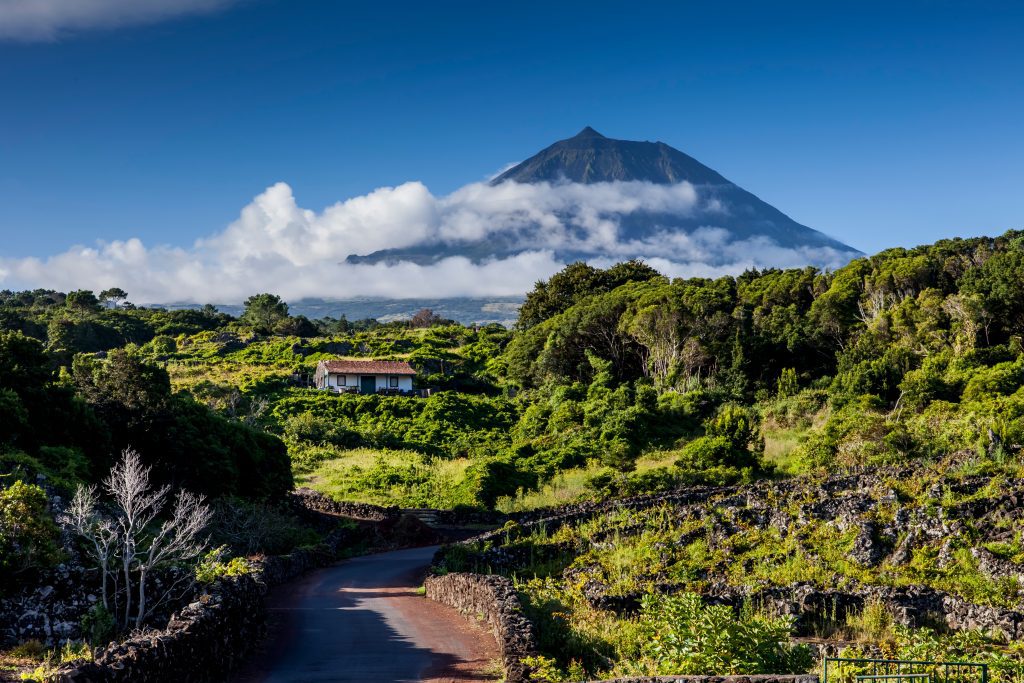 Pico Portugalia